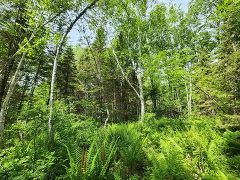 00 Boise Cascade Rd, Dummer, NH 03579 photo 14