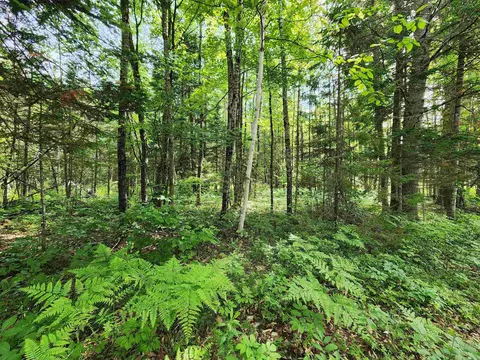 00 Boise Cascade Rd, Dummer, NH 03579 photo 11