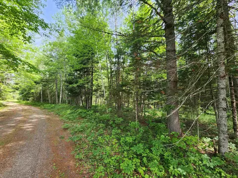 00 Boise Cascade Rd, Dummer, NH 03579 photo 10