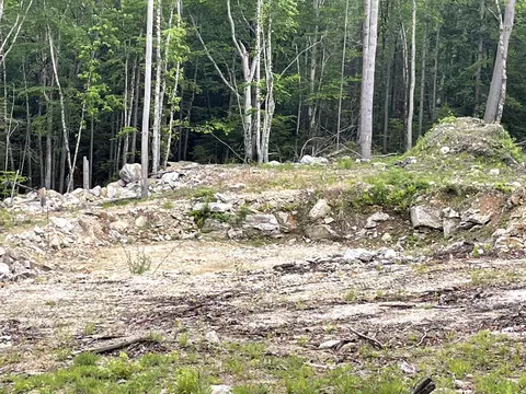40 Hominy Pot Rd, Sutton, NH 03221