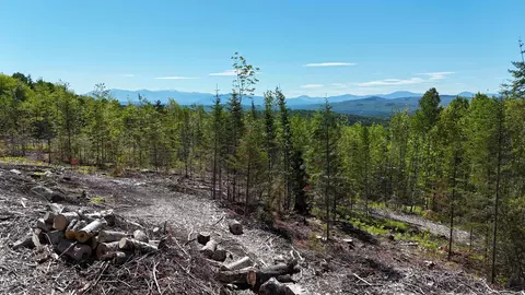 0 Kimball Rd, Lunenburg, VT 05906 photo 7
