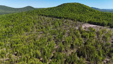 0 Kimball Rd, Lunenburg, VT 05906 photo 6