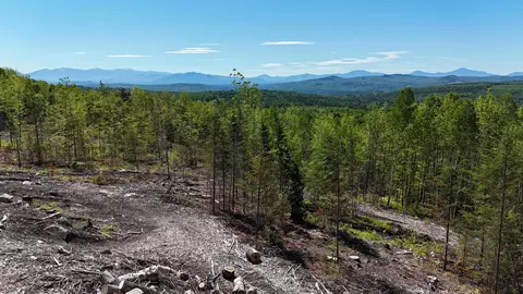 0 Kimball Rd, Lunenburg, VT 05906 photo 23
