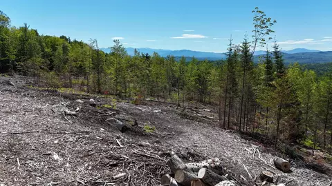 0 Kimball Rd, Lunenburg, VT 05906 photo 24