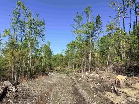0 Kimball Rd, Lunenburg, VT 05906 photo 18