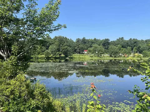 View/Area - 56 Kings Pine Rd, Wolfeboro, NH 03894 photo 2 of 2