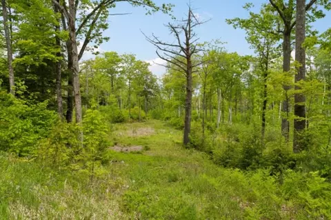 00 Canaan St #LOT 8, Canaan, NH 03741