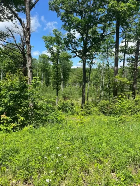 00 Corno Road And Canaan St #ALL 8 S, Canaan, NH 03741
