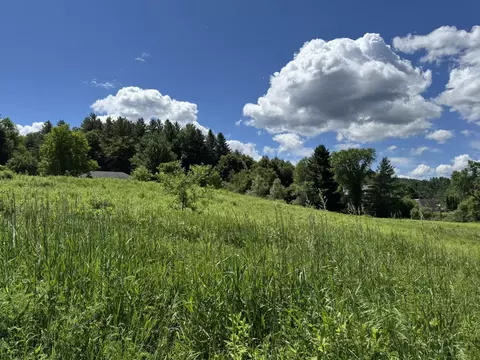 0 Old Farm Rd #C, Stowe, VT 05672