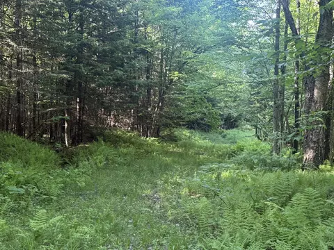 0 Roaring Brook Rd, Barton, VT 05822 photo 5