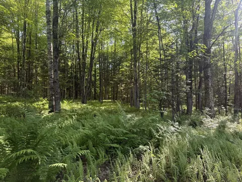 0 Roaring Brook Rd, Barton, VT 05822 photo 15