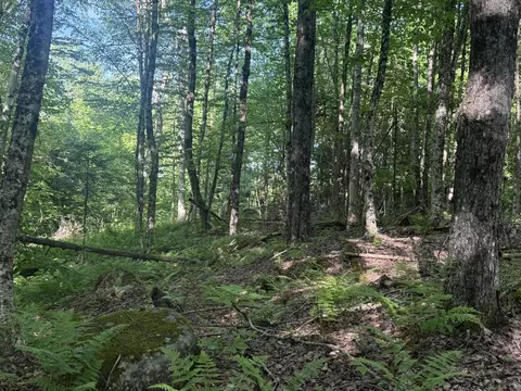 0 Roaring Brook Rd, Barton, VT 05822 photo 6