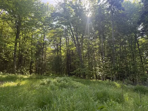 0 Roaring Brook Rd, Barton, VT 05822 photo 14