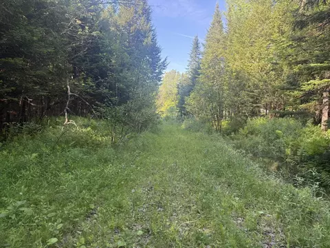 0 Roaring Brook Rd, Barton, VT 05822 photo 3