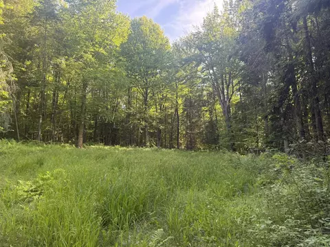 0 Roaring Brook Rd, Barton, VT 05822 photo 12