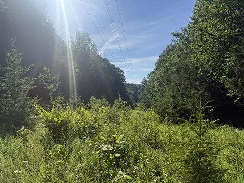 0 Roaring Brook Rd, Barton, VT 05822 photo 8