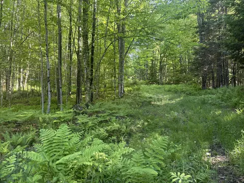 0 Roaring Brook Rd, Barton, VT 05822 photo 4