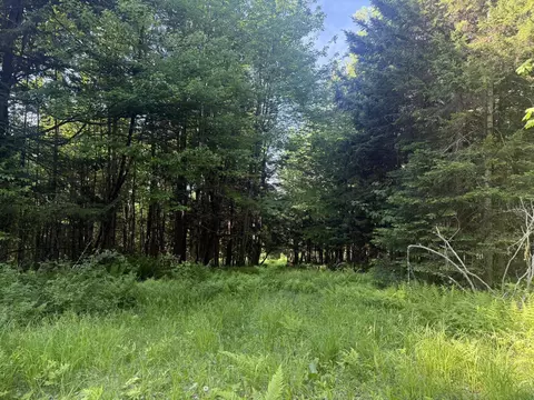 0 Roaring Brook Rd, Barton, VT 05822 photo 13