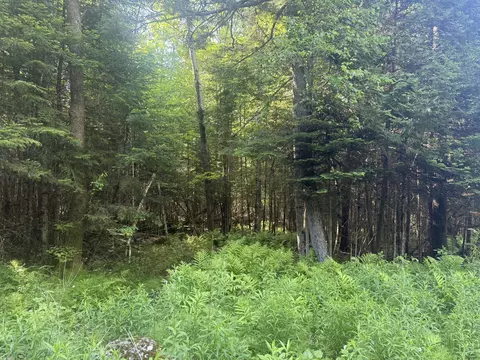 0 Roaring Brook Rd, Barton, VT 05822 photo 2