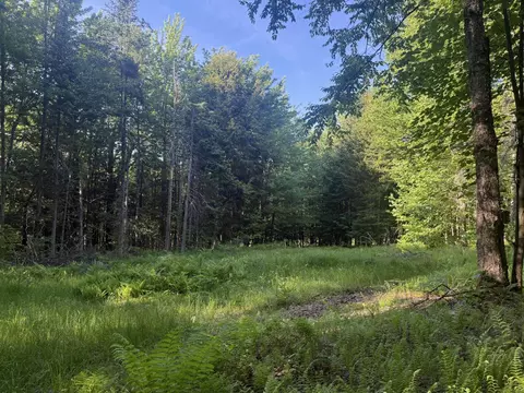 0 Roaring Brook Rd, Barton, VT 05822 photo 17