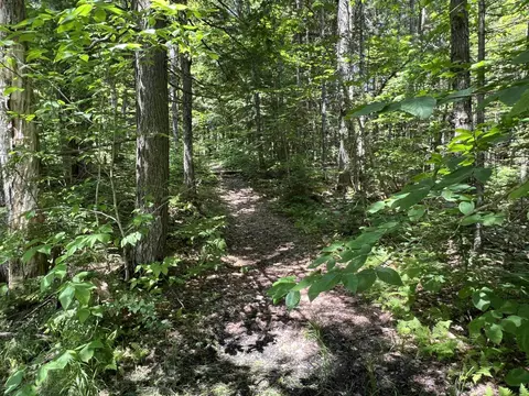 Other - 42 Bills Rd, Stratton, VT 05360 photo 1 of 2