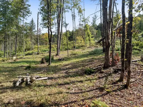 219 Weber Brook Ln #1, Craftsbury, VT 05826