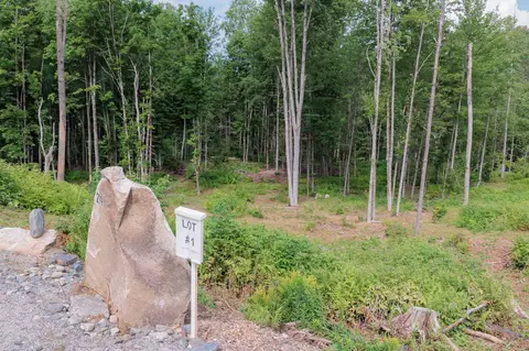 219 Weber Brook Ln #1, Craftsbury, VT 05826