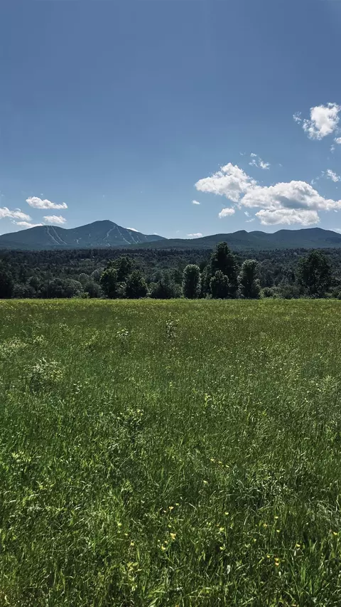 237 Loop Rd, Jay, VT 05859 photo 13
