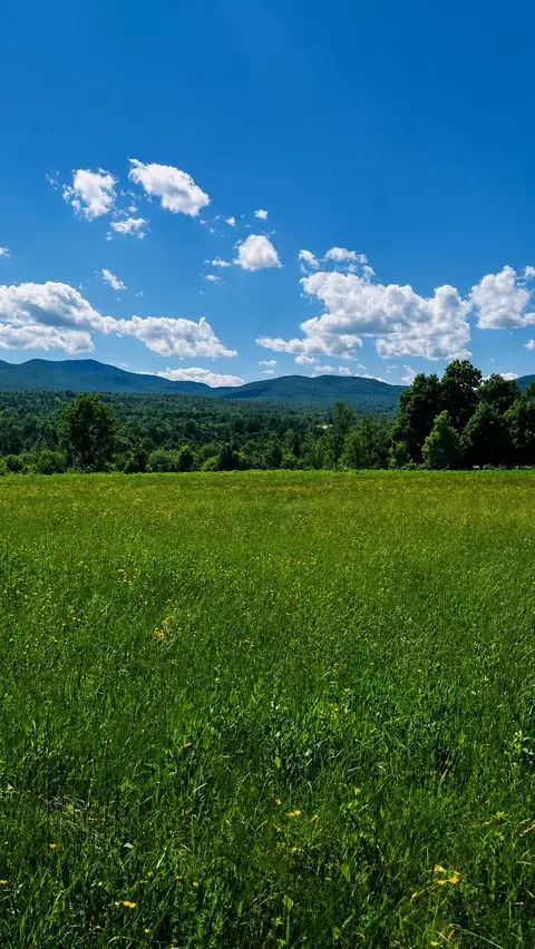 237 Loop Rd, Jay, VT 05859 photo 11
