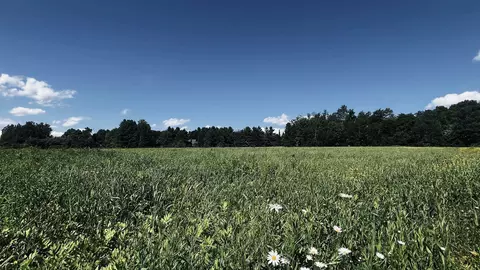 237 Loop Rd, Jay, VT 05859 photo 30