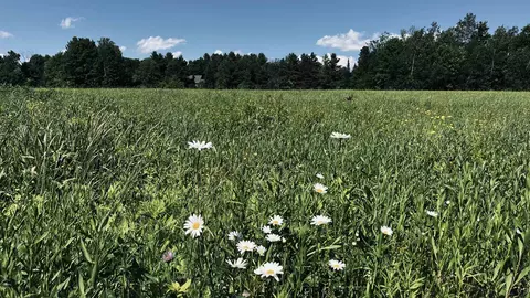 237 Loop Rd, Jay, VT 05859 photo 27