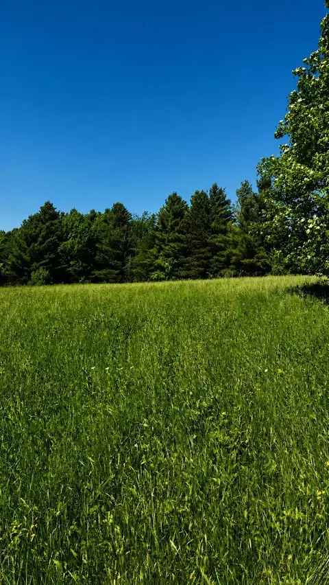 237 Loop Rd, Jay, VT 05859 photo 9