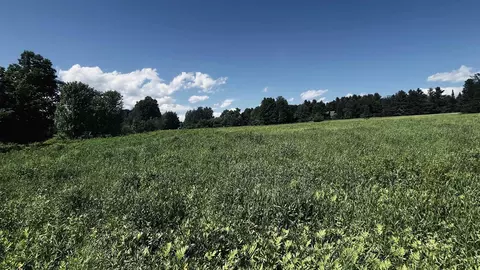 237 Loop Rd, Jay, VT 05859 photo 32