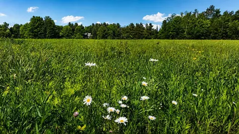 237 Loop Rd, Jay, VT 05859 photo 2