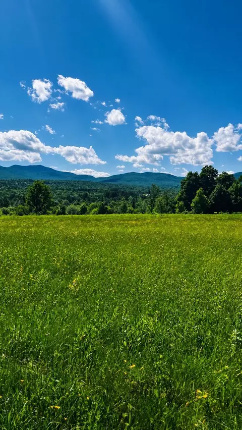 237 Loop Rd, Jay, VT 05859 photo 6