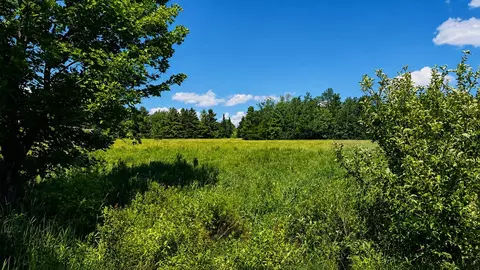 237 Loop Rd, Jay, VT 05859 photo 8
