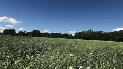 237 Loop Rd, Jay, VT 05859 photo 29
