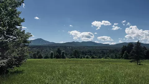 237 Loop Rd, Jay, VT 05859 photo 21