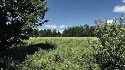 237 Loop Rd, Jay, VT 05859 photo 20