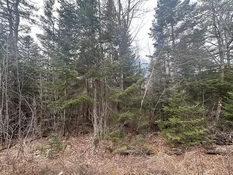 0 N Littleton Rd, Littleton, NH 03561