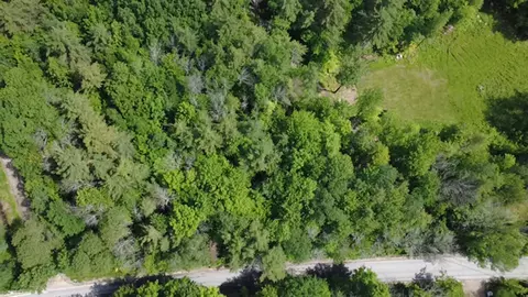 5 Brian Rd, Ossipee, NH 03864 photo 3