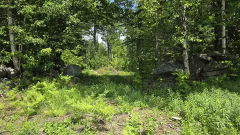 Exterior - 91 Venheim Rd #1, Lunenburg, VT 05906 photo 19 of 21