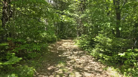 Other - 91 Venheim Rd #1, Lunenburg, VT 05906 photo 9 of 12