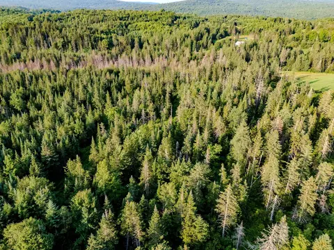 00 Watson Rd, Walden, VT 05843 photo 27