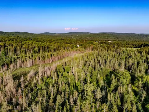00 Watson Rd, Walden, VT 05843 photo 22