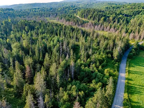 00 Watson Rd, Walden, VT 05843 photo 31