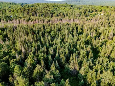 00 Watson Rd, Walden, VT 05843 photo 26