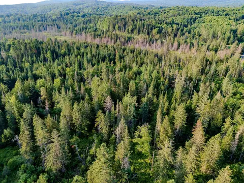 00 Watson Rd, Walden, VT 05843 photo 29