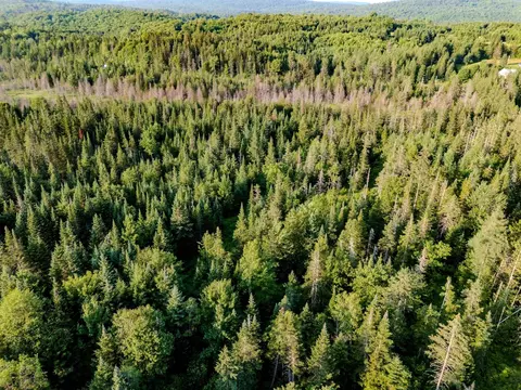 00 Watson Rd, Walden, VT 05843 photo 28