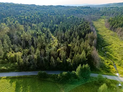 00 Watson Rd, Walden, VT 05843 photo 32